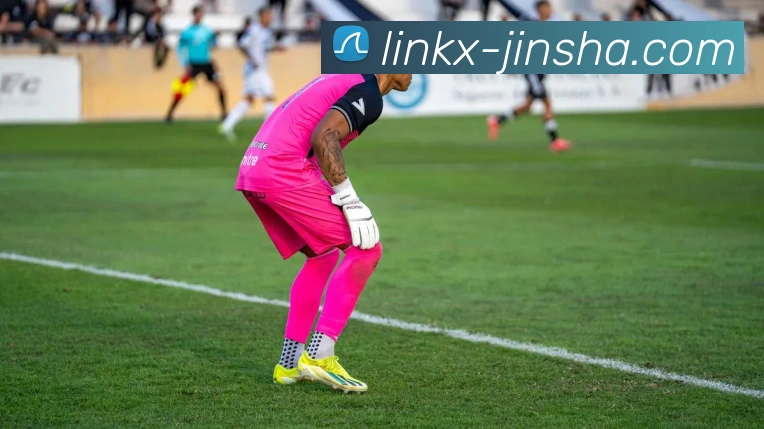 金沙娱乐平台生态图